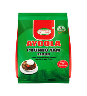 1-ayoolapoundoyam-scaled.jpg