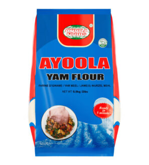 6-ayoolayamflour-scaled.jpg